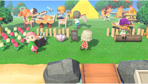 Animal Crossing: New Horizons (New) - Nintendo Switch 2